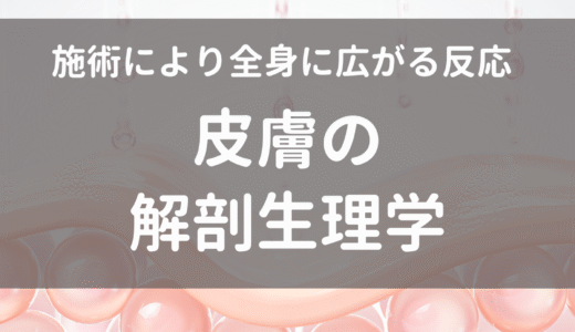 【オンライン講座】10/2（木）セラピストのための皮膚の解剖生理学